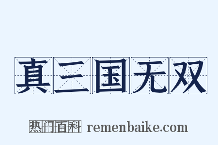 真三国无双是什么意思的图片